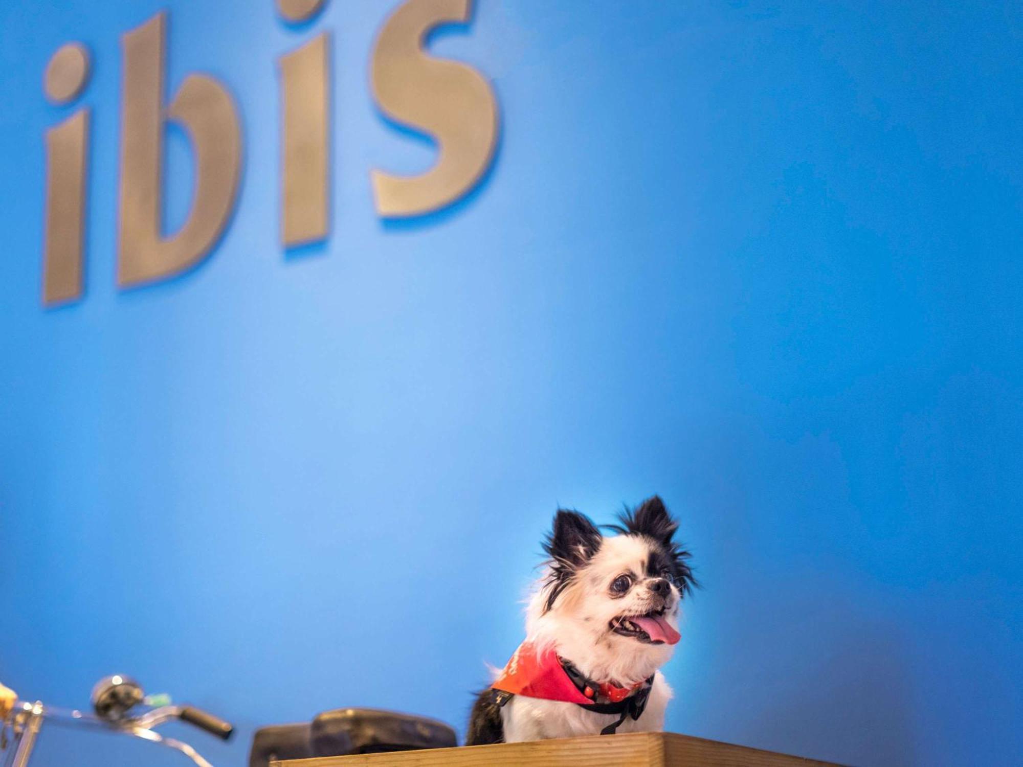 Ibis Chennai City Centre - An Accor Brand 外观 照片