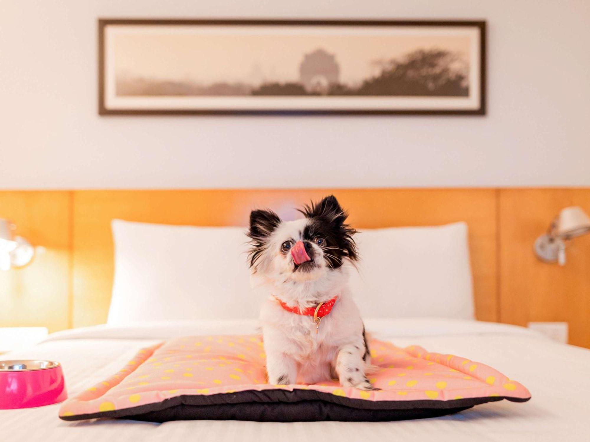 Ibis Chennai City Centre - An Accor Brand 外观 照片